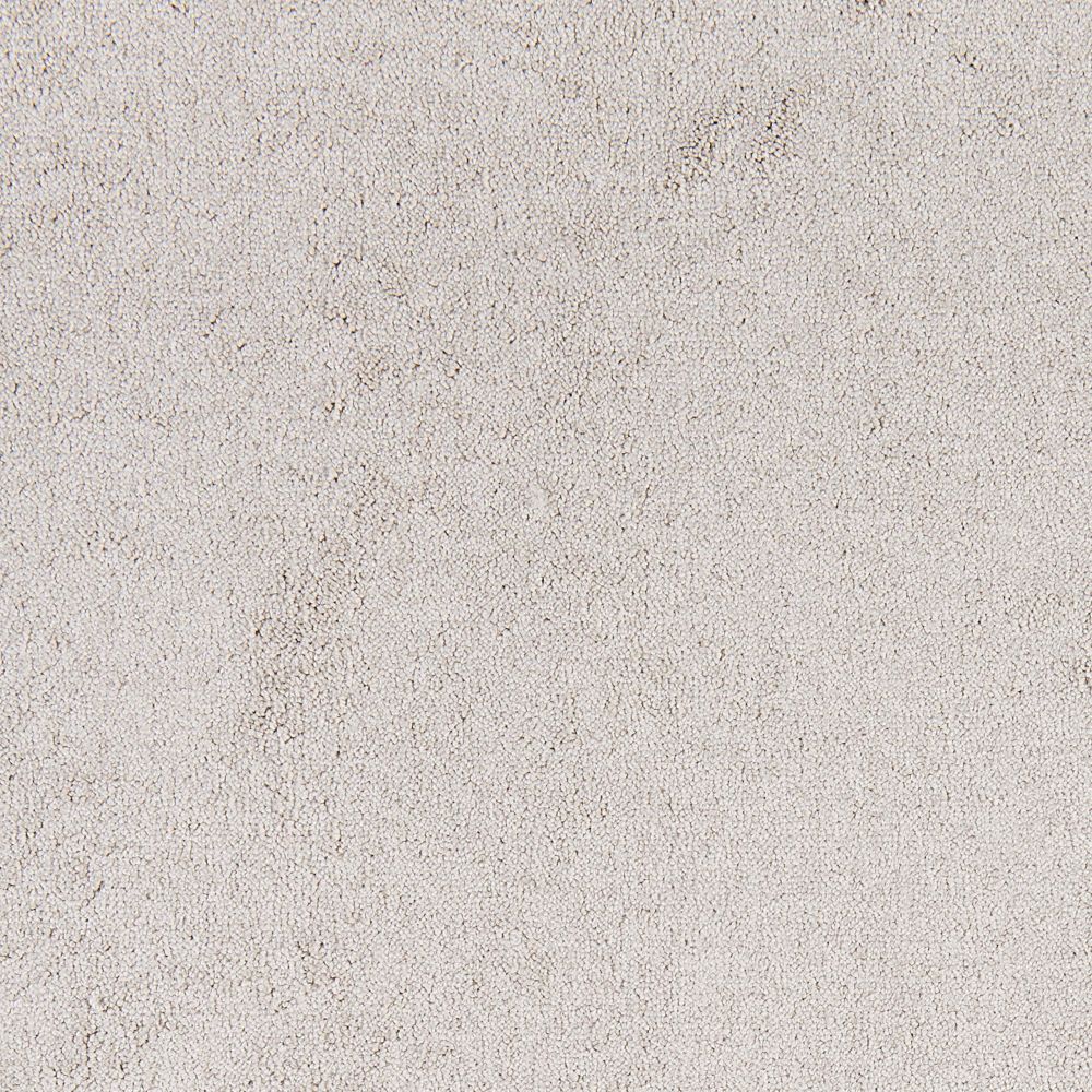 Belflor SDN 63620
