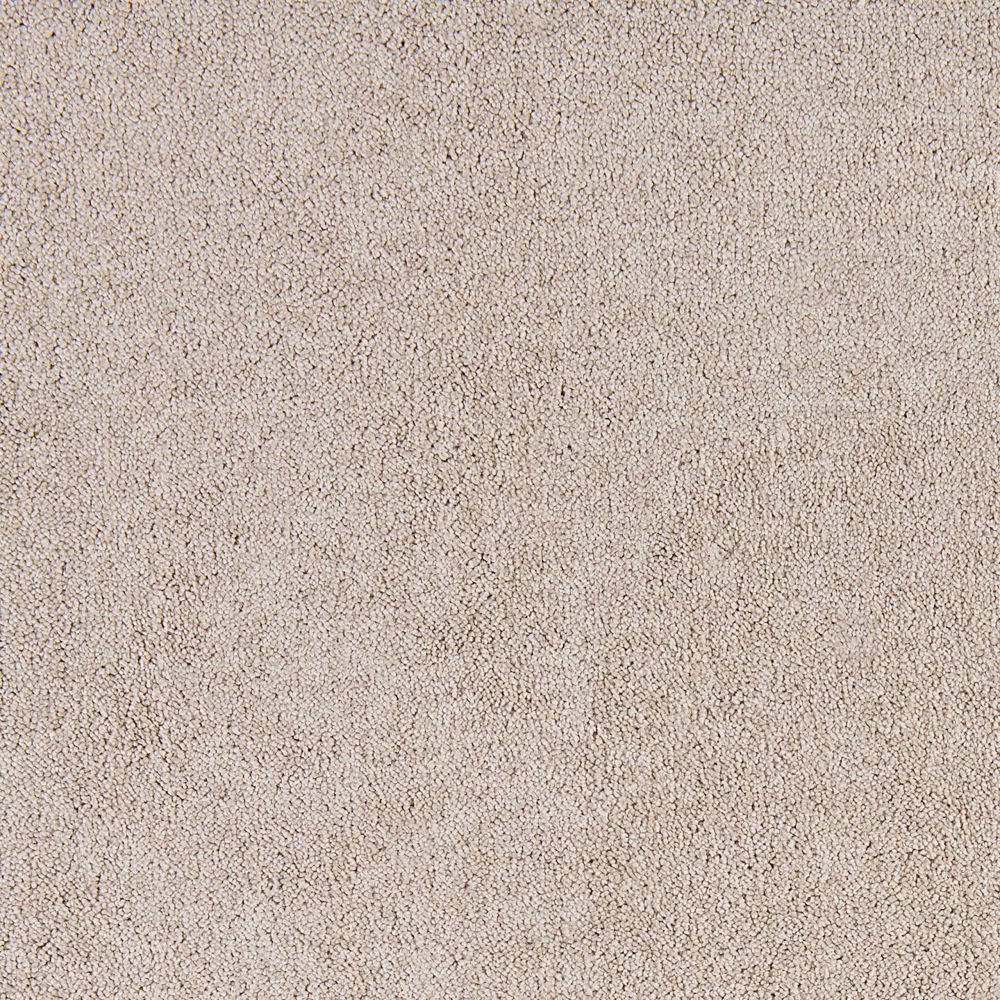Belflor SDN 63630