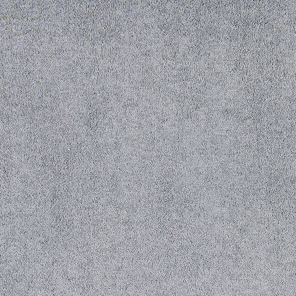 Belflor SDN 63643