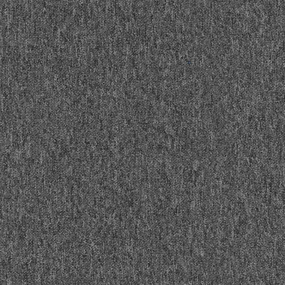 Coral 58342