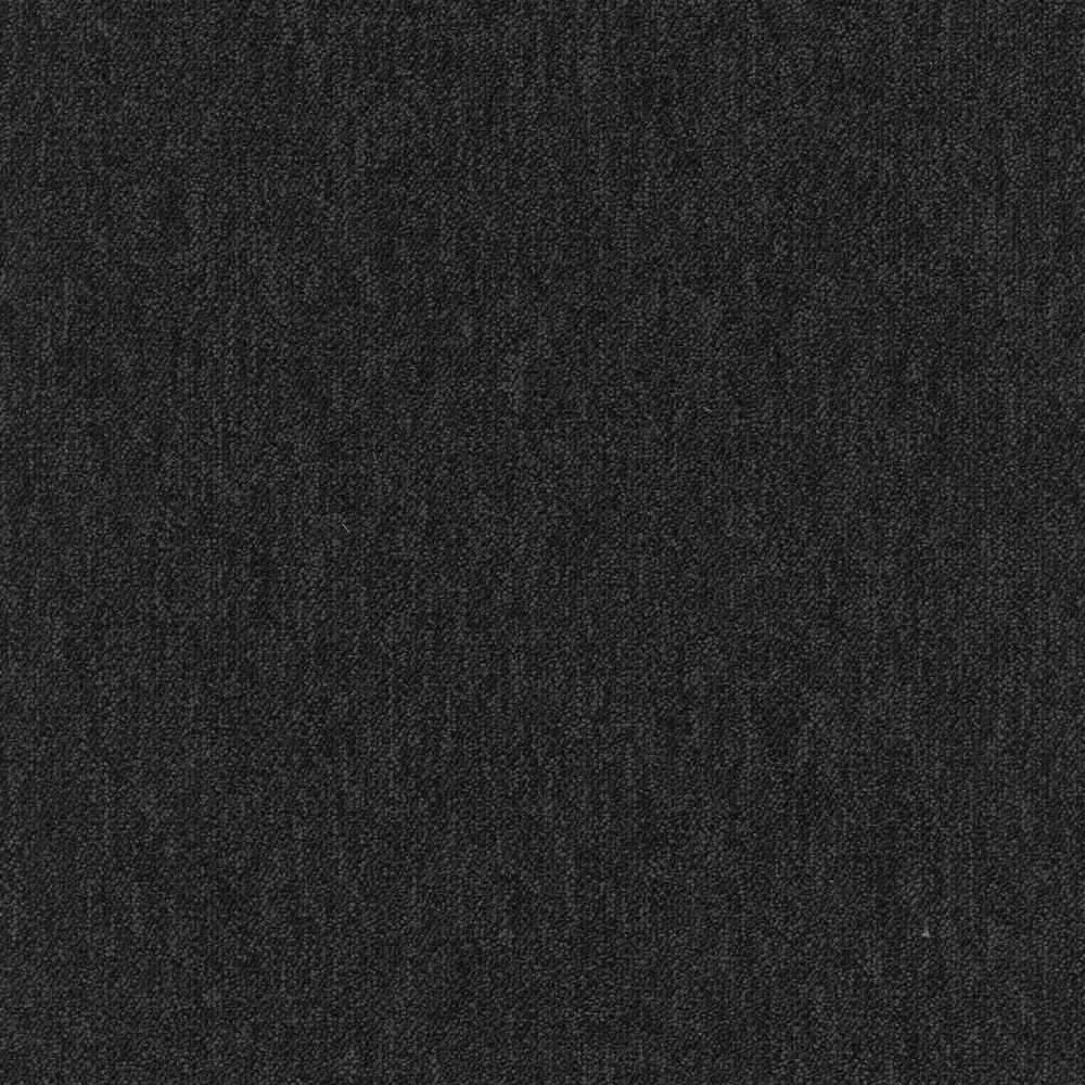 Coral 58351