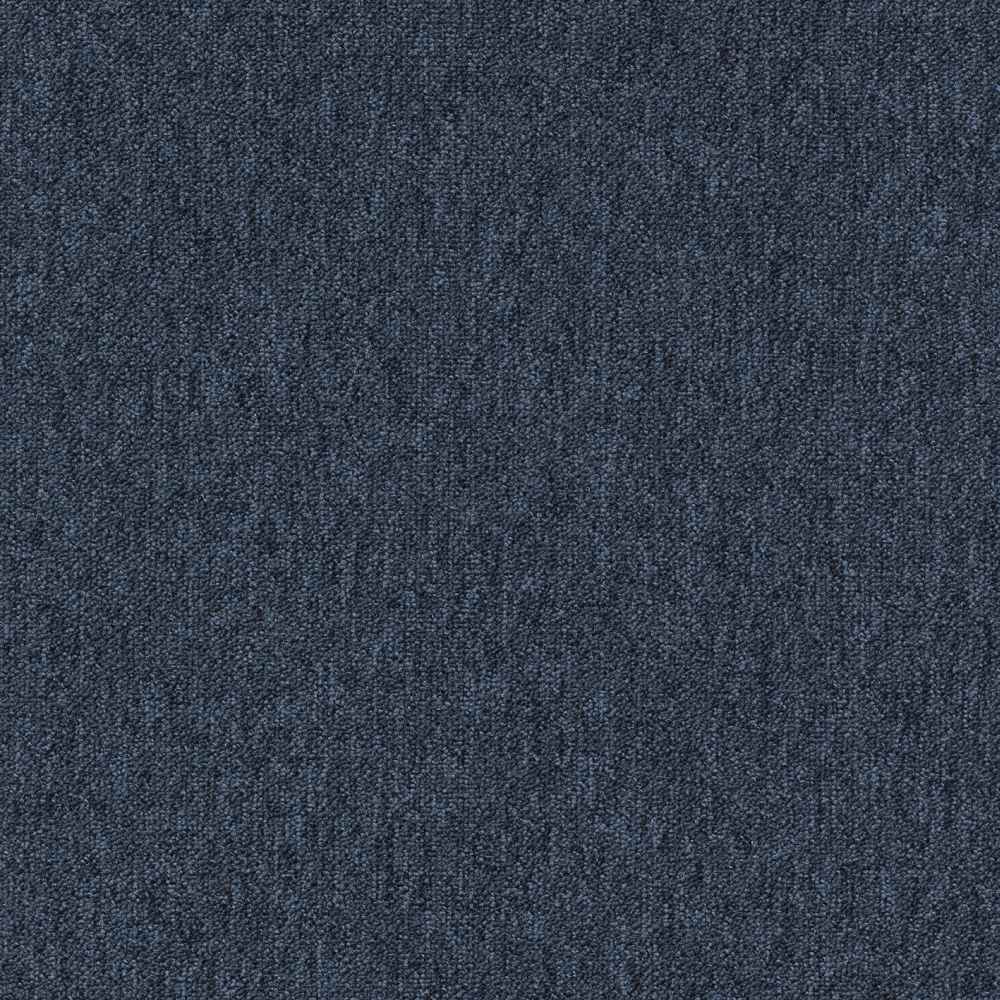 Coral 58360