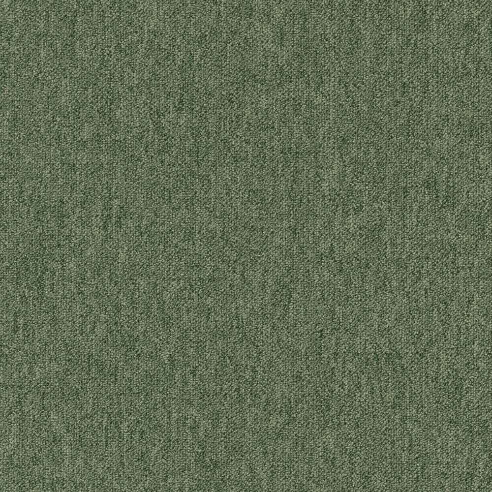 Coral 58376
